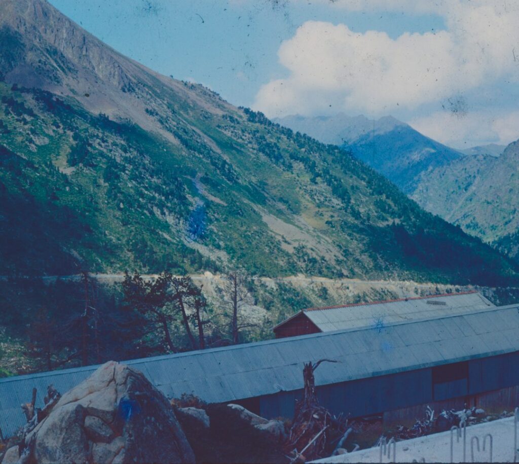 Roof valley with displaced shingles, exposed flashing, and damp debris after rainfall.